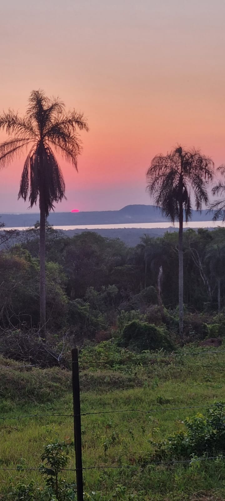 Terreno con vista al lago 1